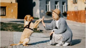 Sadakatin Sineması: Köpeklerin Başrolde Olduğu 10 Film