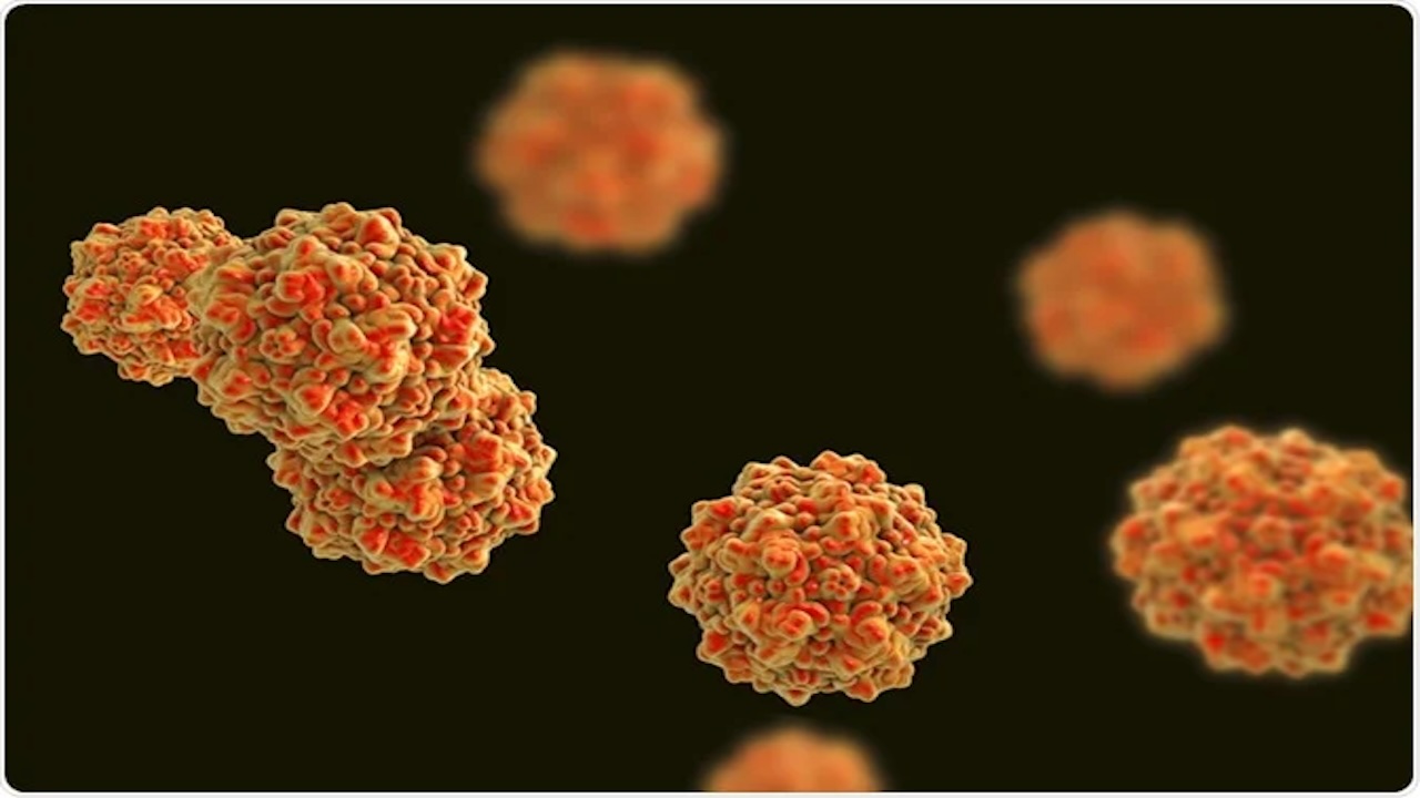 Uzmanlar Uyardı: Parvovirüs B19 Vakaları Artış Gösterdi