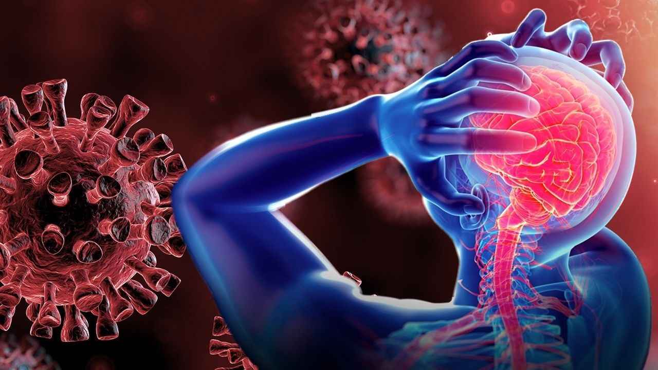 Sağlık Bakanlığı, Maymun Çiçeği Virüsü Hakkında Rehber Yayımladı