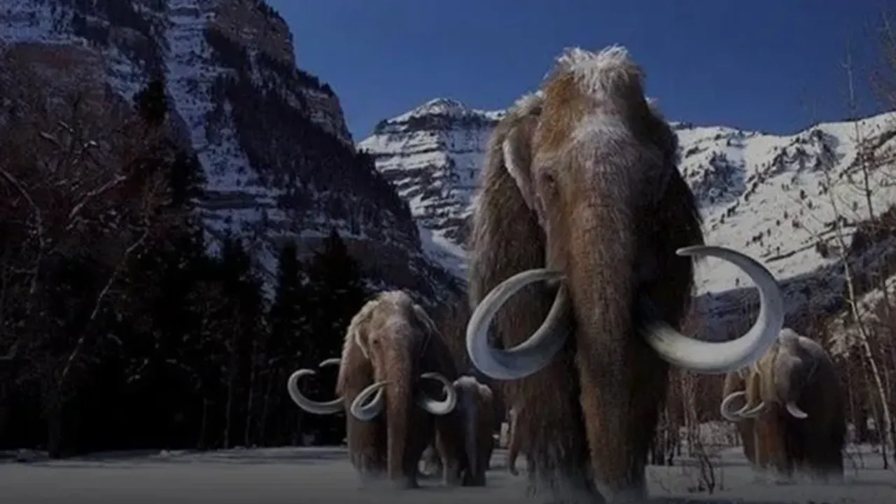 Bilim İnsanları, İlk Kez Mamut Kromozomlarını 3 Boyutlu Olarak Yeniden İnşa Etti