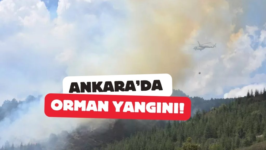 Ankara'da Orman Yangını: Kızılcahamam'daki Alevler Bolu'ya Sıçradı!