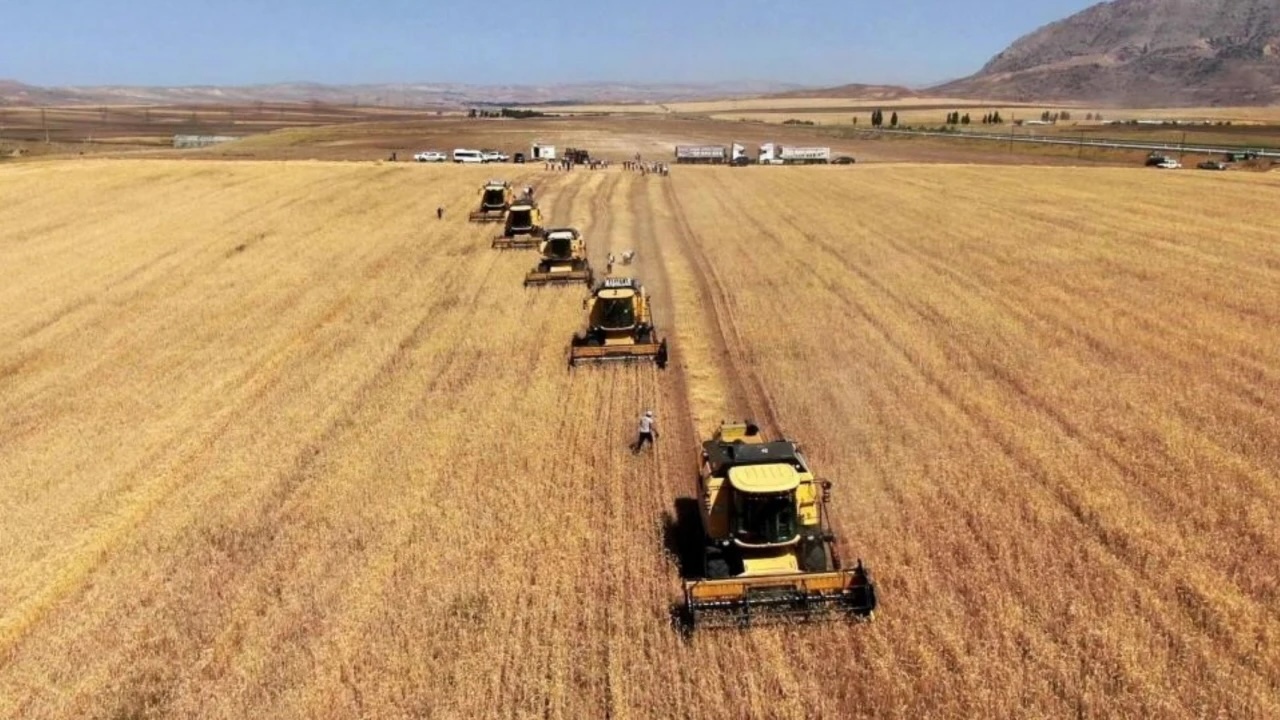 Türkiye’de Çiftçi Eylemde: Maliyetler Artıyor, Ürünler Ucuzluyor