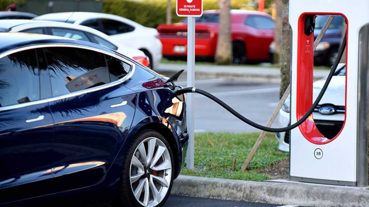 tesla, elektrikli araç, ticaret bakanlığı