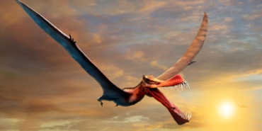 Pterosaurların Uçuşta Kuyruk Kanatlarının Rolü Keşfedildi