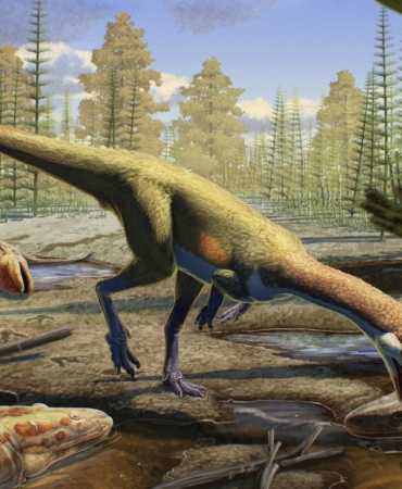 Bilim İnsanları, 230 Milyon Yıl Önceye Ait Yeni Bir Dinozor Türü Keşfetti