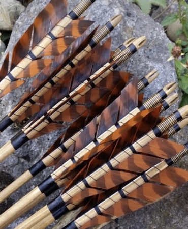 7.000 Yıl Önce Avcılıkta Kullanılan Zehirli Oklar Keşfedildi