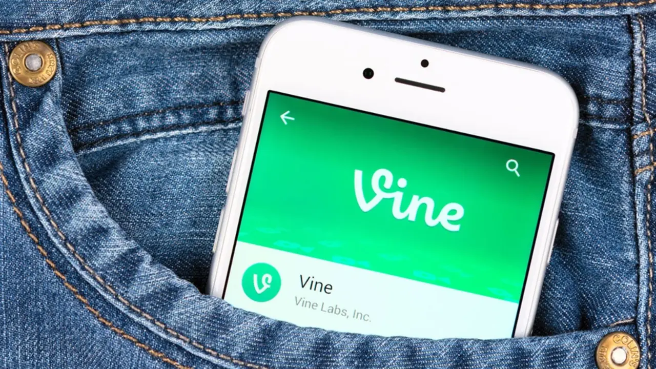 vine