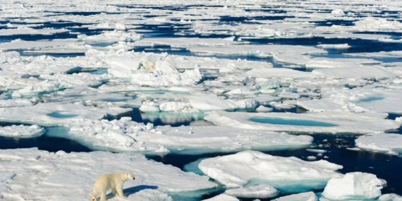 İklim Değişikliği Kuzey Kutbu’ndaki Basınç Sırtlarını Etkiliyor
