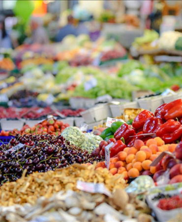 tarım ve orman bakanlığı, güvenlik, e-devlet ticaret bakanlığı uzmanı