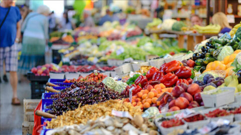 tarım ve orman bakanlığı, güvenlik, ticaret bakanlığı uzmanı