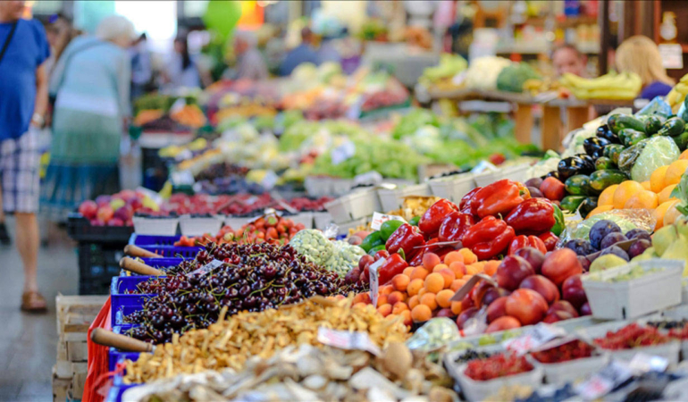 tarım ve orman bakanlığı, güvenlik, e-devlet ticaret bakanlığı uzmanı