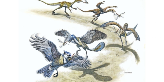 Çin’de Keşfedilen 150 Milyon Yıllık Kuş Fosili, Evrimsel Tarihi Yeniden Yazıyor