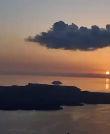 67a1f614095d6ee56b8763b7 (1)