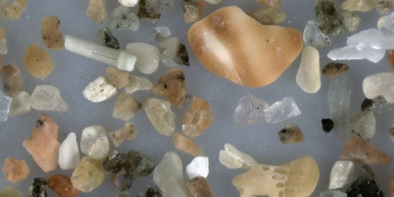 Kontrolsüz Kum Madenciliği Deniz Ekosistemlerini Tehdit Ediyor