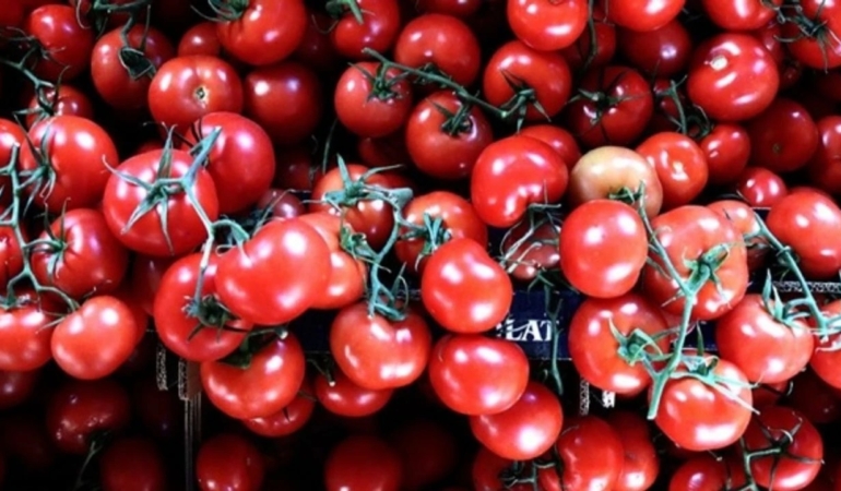 turkiye-den-9-ayda-264-milyon-771-bin-dolarlik-domates-ihracati_51956.jpg