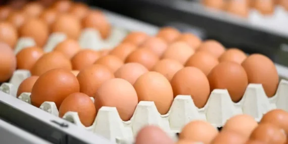 Marketlerde Artık Kahverengi Yumurta Satılmayacak: İşte Sebebi