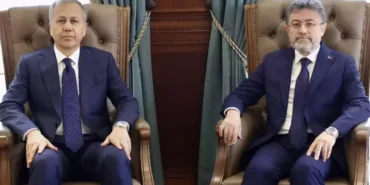 sahipsiz sokak hayvanları