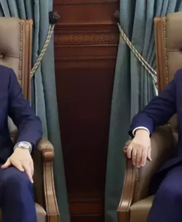 sahipsiz sokak hayvanları