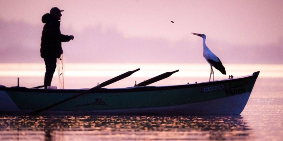 Beklenen Kavuşma Sonunda Gerçekleşti: Yaren Leylek Geldi