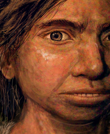 Tayvan'da Bulunan Antik Çene Kemiği, Denisovanlara Ait Olarak Tanımlandı