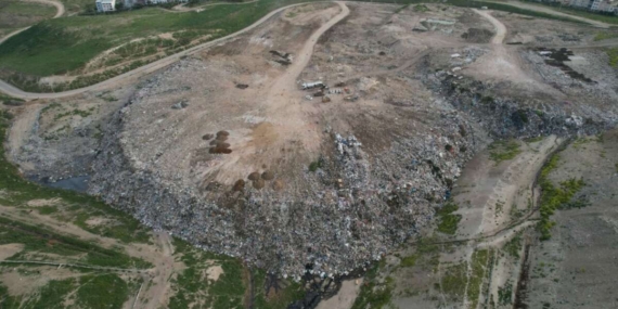Osmangazi’de Çuvallara Koyulmuş Çok Sayıda Köpek Cesedi!
