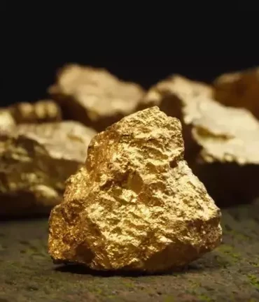 altın fransa 150 ton