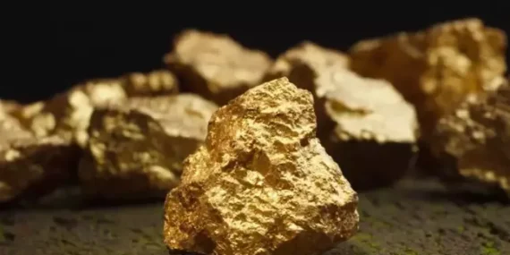 Arazisinden 150 Ton Altın Çıktı Fakat 1 Kuruş Bile Alamayacak!