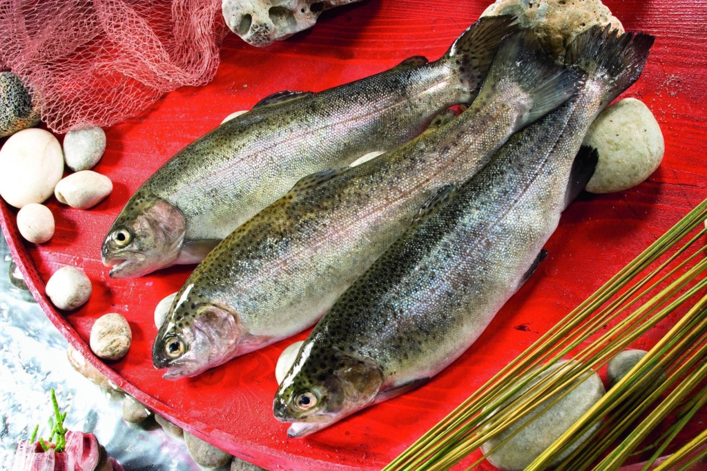 balık kalp krizi Eric Rimm