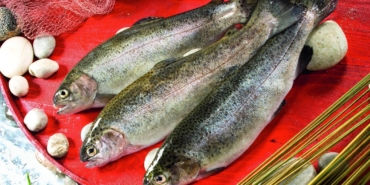 balık kalp krizi Eric Rimm