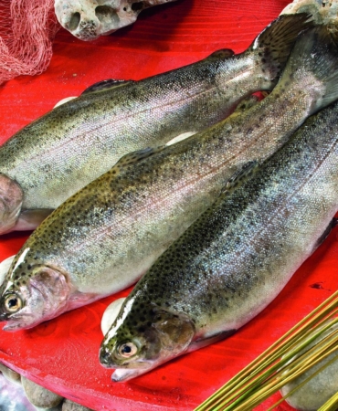 balık kalp krizi Eric Rimm