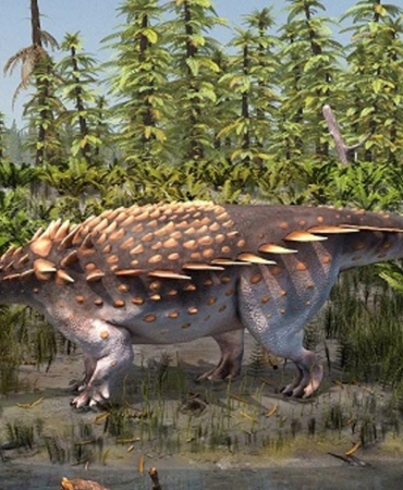 Topuz Kuyruklu Zırhlı Dinozorların Ayak İzleri Keşfedildi