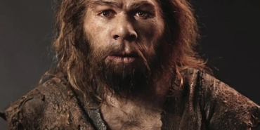 Homo Sapiens