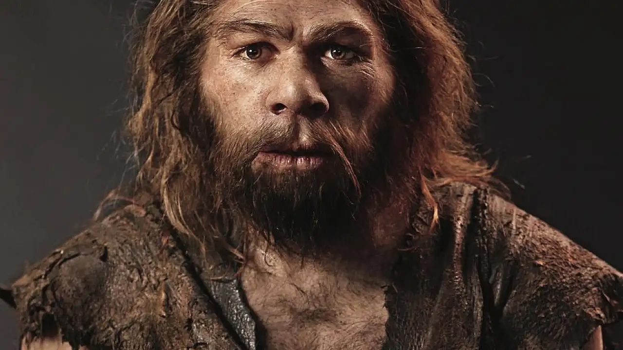 Homo Sapiens