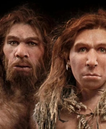 Erken İnsanların Bitkisel Diyetle Beslendiği Ortaya Çıktı