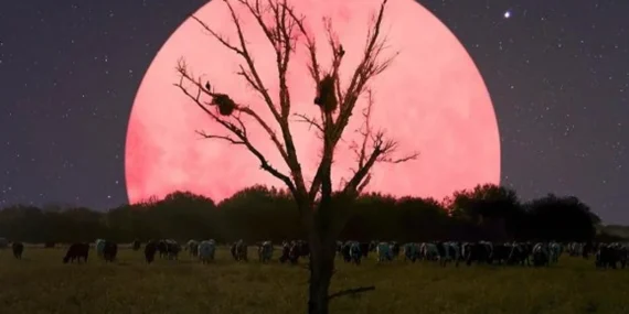 Pembe Dolunay Nedir, Saat Kaçta Görülecek?