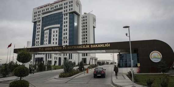 Tarım ve Orman Bakanlığı Sahte Üçgen Peynirleri Tek Tek Açıkladı!