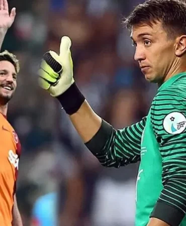 Muslera mertens