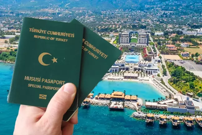 Yeşil pasaport muhasebeci