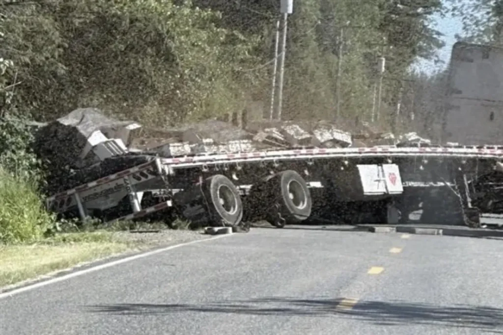 abd Washington kamyon devrildi arı