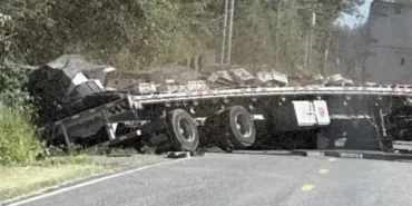 abd Washington kamyon devrildi arı