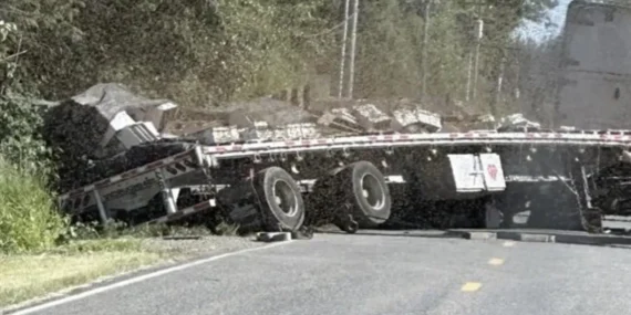 Washington’da Korkutan Kaza! 250 Milyon Arı Yollara Saçıldı