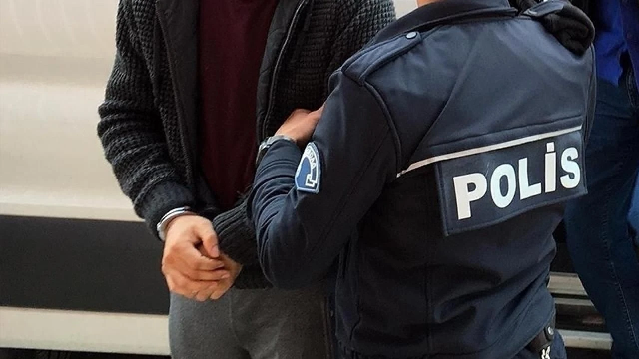 ali yerlikaya mali