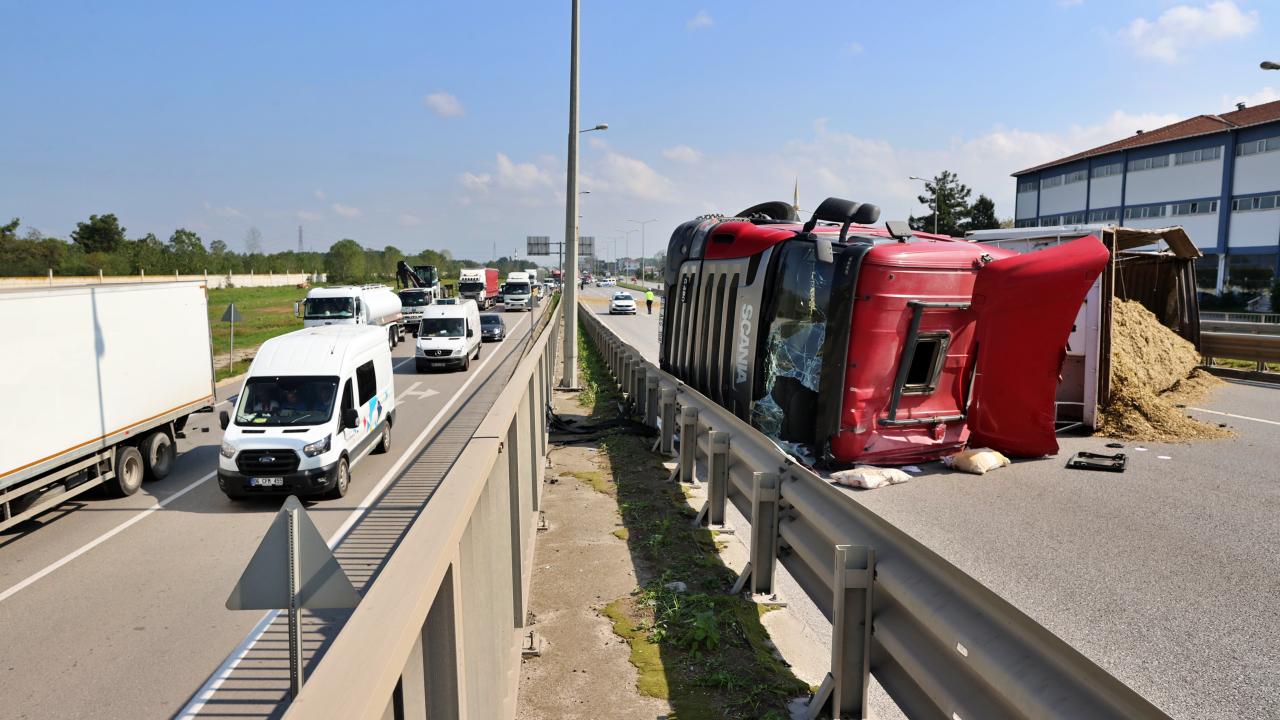 arı sokması tır devrildi