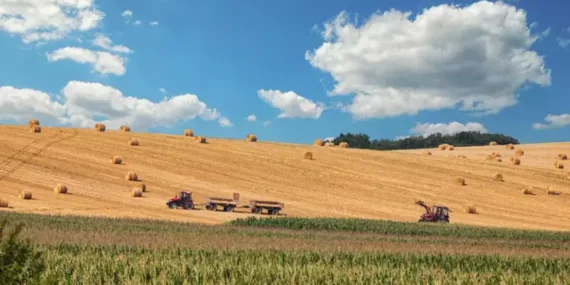 İstanbul Depremi Sonrası Arsaya Olan Talep Patladı
