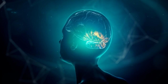 Alzheimer Riski Genç Yaşta Bilişi Etkileyebiliyor