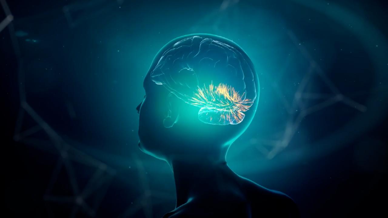 Alzheimer riski