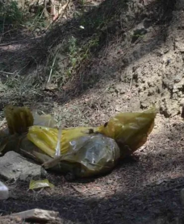 bursa köpek mezarlığı