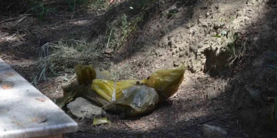 Bursa’da Köpek Mezarlığında Skandal! Hasta Hayvanları Çıkardılar