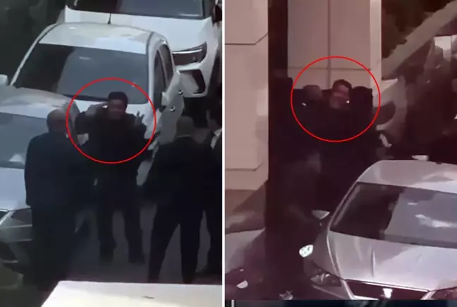 çelik holding