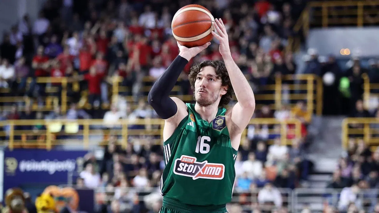 cedi osman